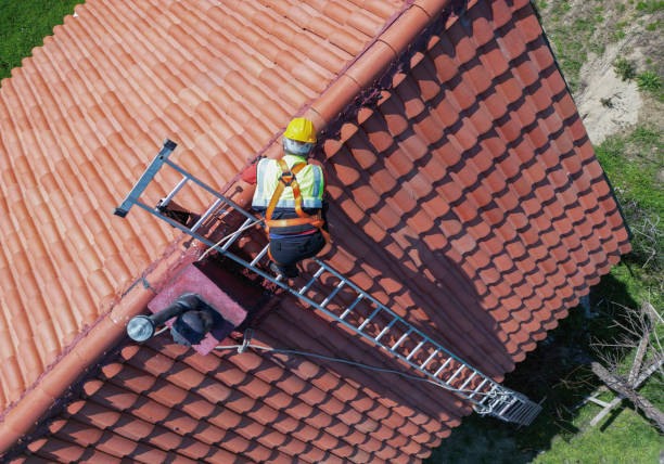 Best Steel Roofing  in Leonard, TX